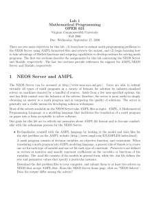 1 NEOS Server and AMPL