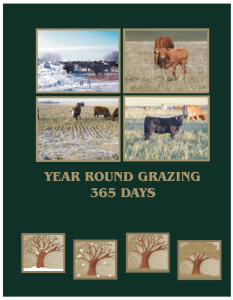 YEAR ROUND GRAZING 365 DAYS