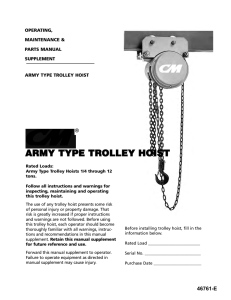 army type trolley hoist