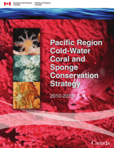 Pacific Region Cold-Water Coral and Sponge Conservation Strategy