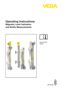 Magnetic Level Indication and Bridle Measurements