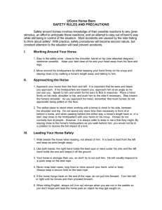 UConn Horse Barn SAFETY RULES AND PRECAUTIONS I