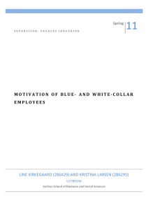 Motivation of Blue- and White-Collar Employees