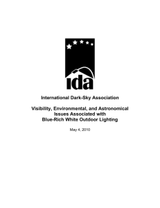 IDA Blue-Rich Light White Paper 2010.05.05