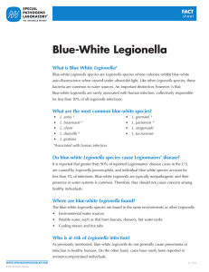 Blue-White Legionella - Special Pathogens Laboratory