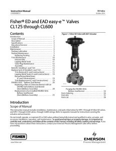 Instruction Manual - Welcome to Emerson Process Management