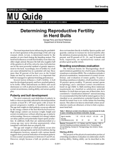Determining Reproductive Fertility in Herd Bulls