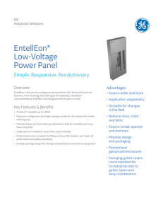 EntellEon* Low-Voltage Power Panel