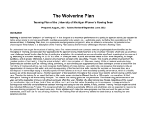 The Wolverine Plan