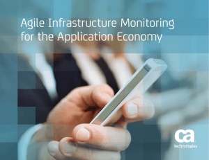 Agile Infrastructure Monitoring for the Application