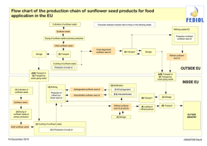 Flow chart of the production chain of sunflower seed products