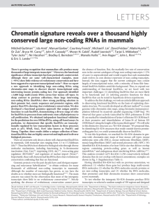 Chromatin signature reveals over a thousand highly conserved large