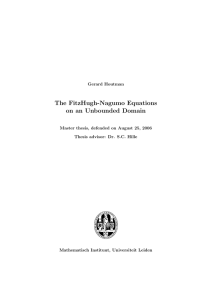The FitzHugh-Nagumo Equations on an Unbounded Domain