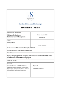 MASTER`S THESIS