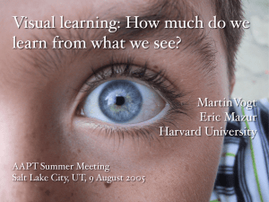 Visual learning: How much do we learn from what we see?