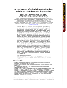 In vivo imaging of retinal pigment epithelium cells in age related