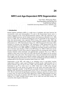 NRF2 and Age-Dependent RPE Degeneration