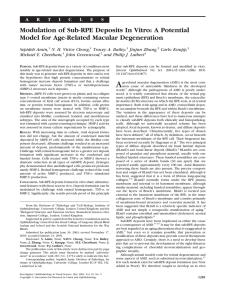 Modulation of Sub-RPE Deposits In Vitro: A Potential Model for Age