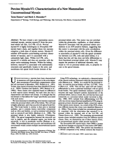 Porcine Myosin-VI - The Journal of Cell Biology