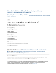 Vasa-like DEAD-box RNA helicases of Schistosoma mansoni