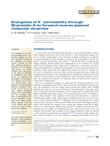 Energetics of K+ permeability through Gramicidin A by forward