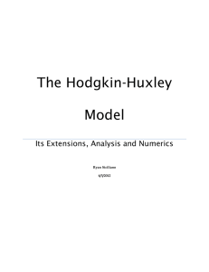 The Hodgkin-Huxley Model - Mathematics and Statistics