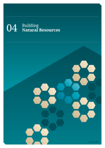 Business Growth Agenda - Natural Resources Chapter
