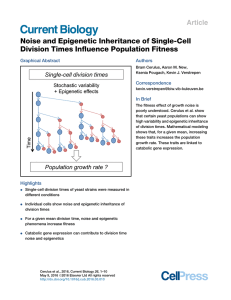 Noise and Epigenetic Inheritance of Single