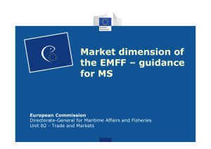 Market dimension of the EMFF – guidance for MS