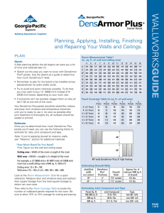 DAP Wallworks Guide_for web only - Georgia