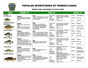 popular sportfishes of pennsylvania