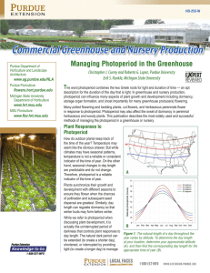 Managing Photoperiod in the Greenhouse