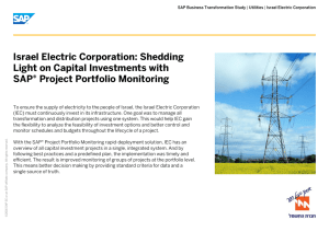 Israel Electric Corporation: Shedding Light on Capital