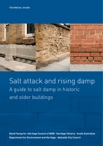 Salt Attack and Rising Damp Technical Guide