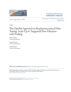 The OptiFilt Approach to Biopharmaceutical Filter Testing: Scale