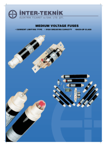 Medium Voltage Fuses - INTER