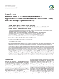 Beneficial Effect of Short Pretransplant Period of Hypothermic
