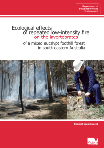 Effects of repeated low-intensity fire on the invertebrates of a mixed