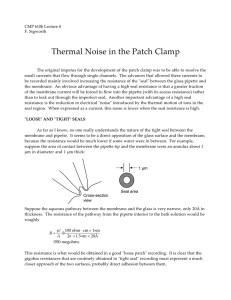 Thermal Noise in the Patch Clamp