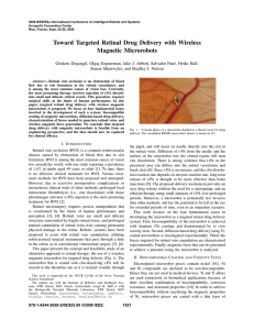 Toward Targeted Retinal Drug Delivery with Wireless Magnetic