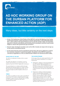 ad hoc working group on the durban platform for