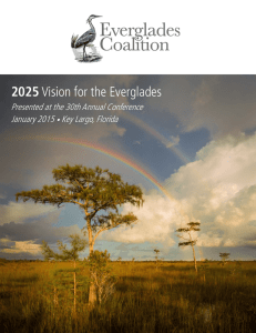 2025 Vision for the Everglades