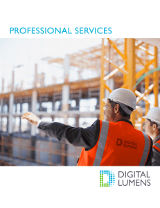 professional services