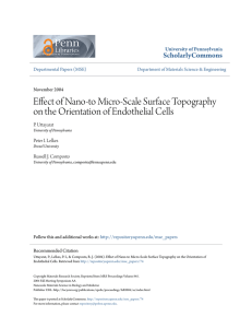 Effect of Nano-to Micro-Scale Surface Topography on the