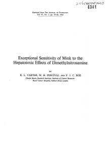 Exceptional Sensitivity of Mink to the Hepatotoxic Effects of