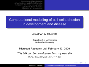 Computational modelling of cell-cell adhesion in development and