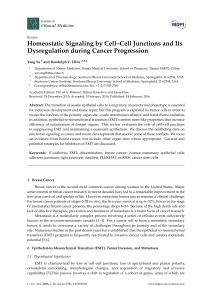 Homeostatic Signaling by Cell–Cell Junctions and Its Dysregulation