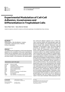 Experimental Modulation of Cell-Cell Adhesion, Invasiveness and