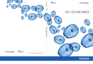CELL CULTURE BASICS Handbook