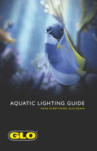 aquatic lighting guide